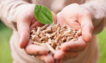 Lorem ipsum dolor ait amet
