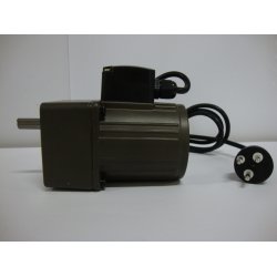 Mini gearmotor YN80-25W 180:1, 8,3 Rpm Aksel �10-100mA sikringer